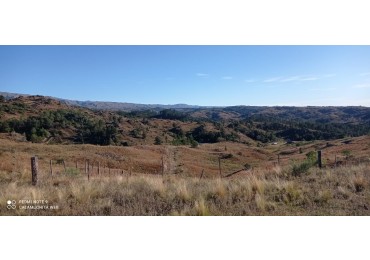 VENTA CAMPO 5 HECTAREAS CON ARROYO  APTO VIÑEDO CON CASA  2 AMBIENTES  EL DURAZNO CALAMUCHITA