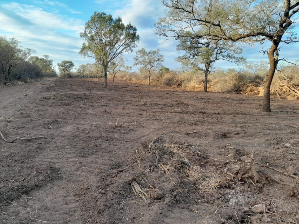 Venta de Fincas: El Yuchan y Finca Don Mingo - Rosario de la Frontera -  SALTA