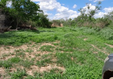 Venta de Fincas: El Yuchan y Finca Don Mingo - Rosario de la Frontera -  SALTA